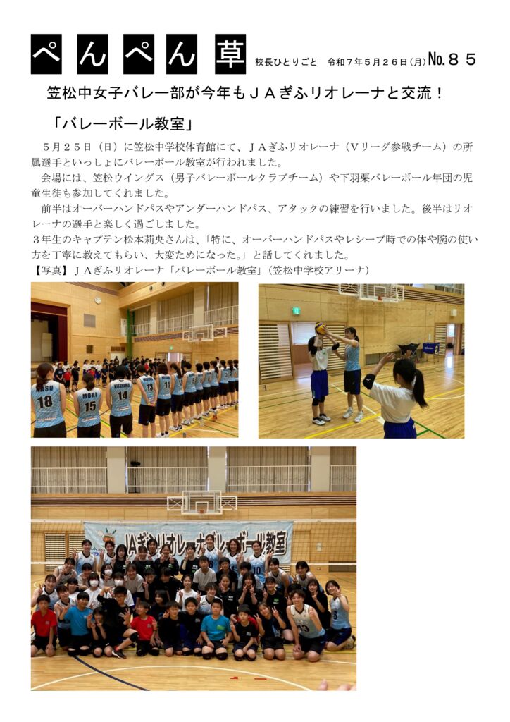 ８５号（リオレーナ）のサムネイル